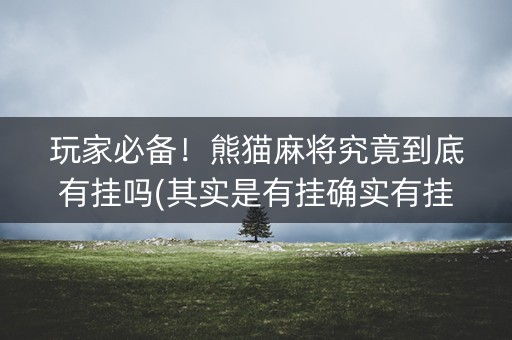 玩家必备！熊猫麻将究竟到底有挂吗(其实是有挂确实有挂)