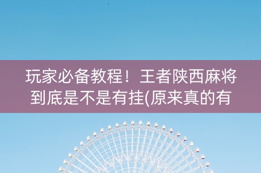 玩家必备教程！王者陕西麻将到底是不是有挂(原来真的有挂)
