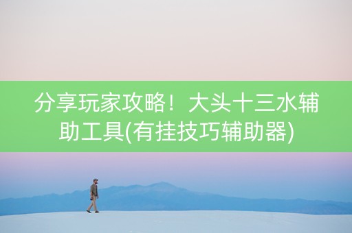 分享玩家攻略！大头十三水辅助工具(有挂技巧辅助器)