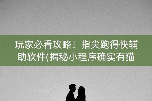 玩家必看攻略！指尖跑得快辅助软件(揭秘小程序确实有猫腻)