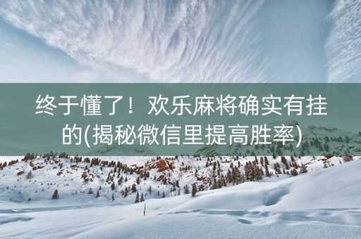 终于懂了！欢乐麻将确实有挂的(揭秘微信里提高胜率)