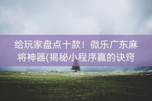 给玩家盘点十款！微乐广东麻将神器(揭秘小程序赢的诀窍)