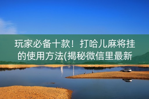 玩家必备十款！打哈儿麻将挂的使用方法(揭秘微信里最新神器下载)