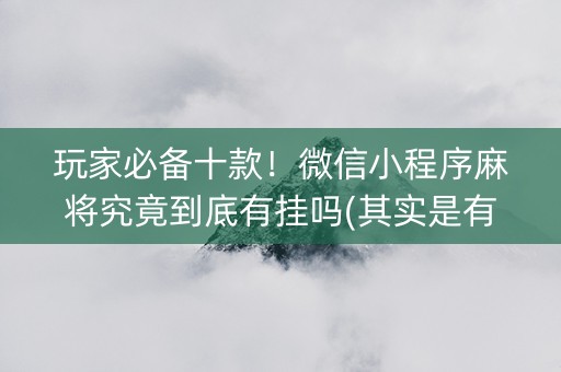 玩家必备十款！微信小程序麻将究竟到底有挂吗(其实是有挂确实有挂)