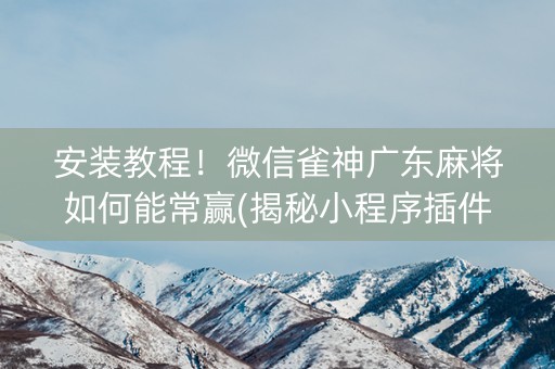 安装教程！微信雀神广东麻将如何能常赢(揭秘小程序插件下载)