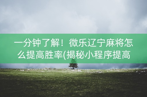 一分钟了解！微乐辽宁麻将怎么提高胜率(揭秘小程序提高胜率)