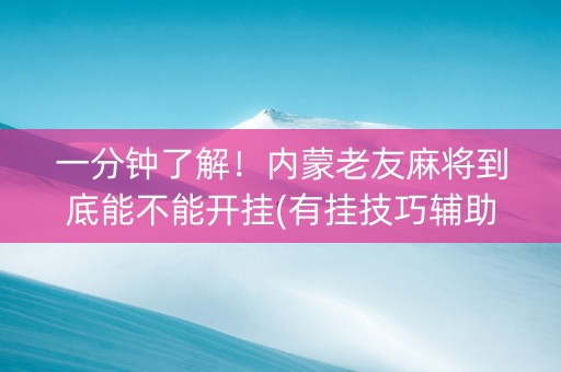 一分钟了解！内蒙老友麻将到底能不能开挂(有挂技巧辅助器)