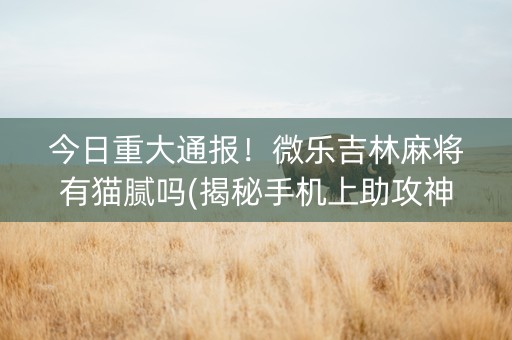 今日重大通报！微乐吉林麻将有猫腻吗(揭秘手机上助攻神器)