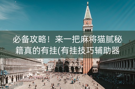 必备攻略！来一把麻将猫腻秘籍真的有挂(有挂技巧辅助器)