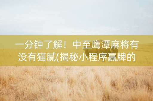 一分钟了解！中至鹰潭麻将有没有猫腻(揭秘小程序赢牌的技巧)