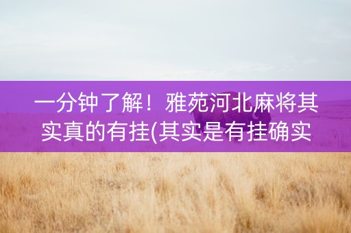 一分钟了解！雅苑河北麻将其实真的有挂(其实是有挂确实有挂)