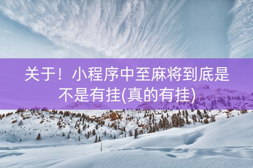 关于！小程序中至麻将到底是不是有挂(真的有挂)