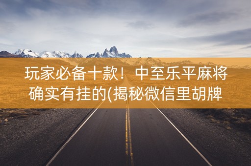 玩家必备十款！中至乐平麻将确实有挂的(揭秘微信里胡牌技巧)