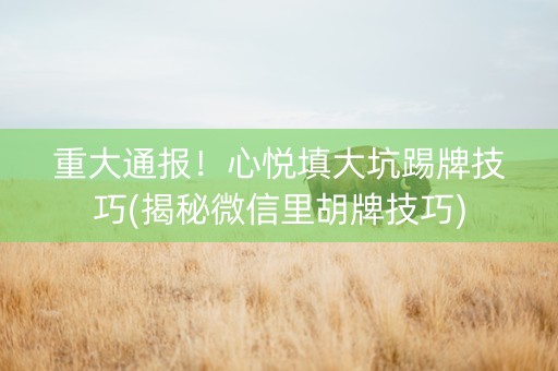 重大通报！心悦填大坑踢牌技巧(揭秘微信里胡牌技巧)