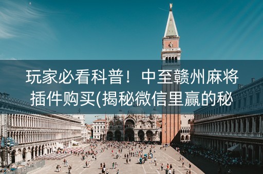 玩家必看科普！中至赣州麻将插件购买(揭秘微信里赢的秘诀)