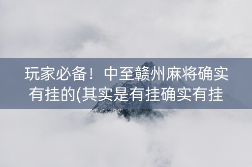 玩家必备！中至赣州麻将确实有挂的(其实是有挂确实有挂)