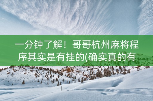 一分钟了解！哥哥杭州麻将程序其实是有挂的(确实真的有挂)