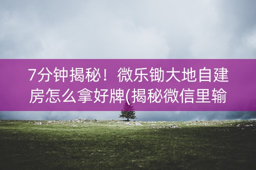 7分钟揭秘！微乐锄大地自建房怎么拿好牌(揭秘微信里输赢技巧)