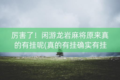 厉害了！闲游龙岩麻将原来真的有挂呢(真的有挂确实有挂)