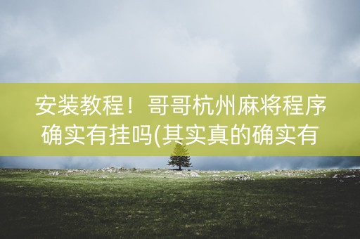 安装教程！哥哥杭州麻将程序确实有挂吗(其实真的确实有挂)