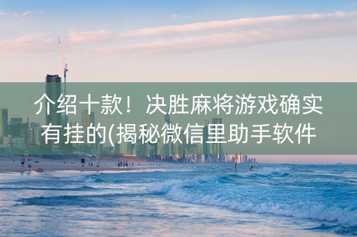 介绍十款！决胜麻将游戏确实有挂的(揭秘微信里助手软件)