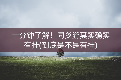 一分钟了解！同乡游其实确实有挂(到底是不是有挂)