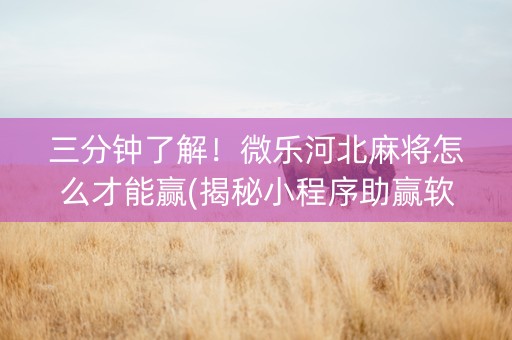 三分钟了解！微乐河北麻将怎么才能赢(揭秘小程序助赢软件)
