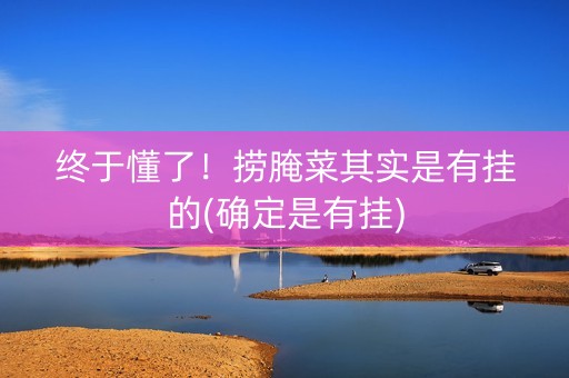 终于懂了！捞腌菜其实是有挂的(确定是有挂)