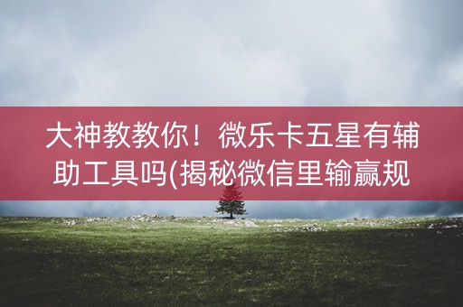 大神教教你！微乐卡五星有辅助工具吗(揭秘微信里输赢规律)