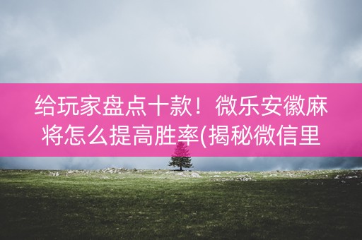 给玩家盘点十款！微乐安徽麻将怎么提高胜率(揭秘微信里输赢规律)