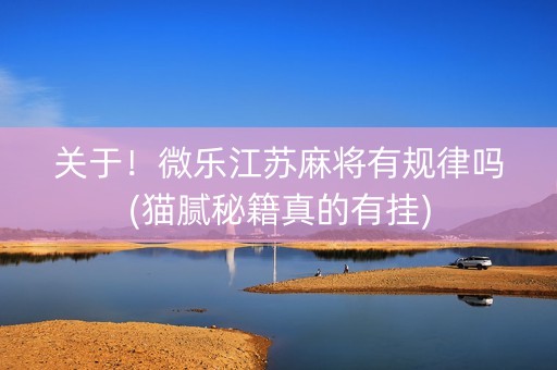 关于！微乐江苏麻将有规律吗(猫腻秘籍真的有挂)