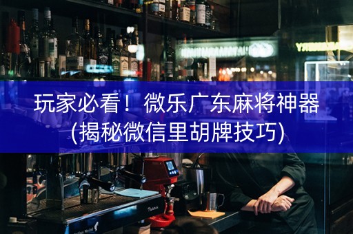 玩家必看！微乐广东麻将神器(揭秘微信里胡牌技巧)