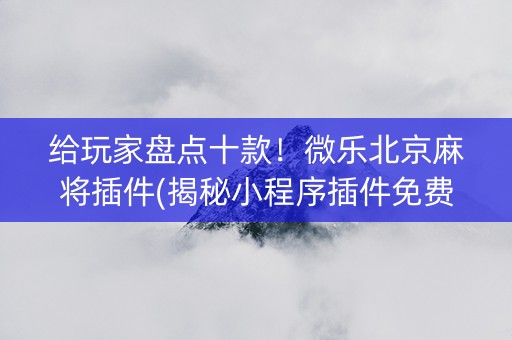 给玩家盘点十款！微乐北京麻将插件(揭秘小程序插件免费)