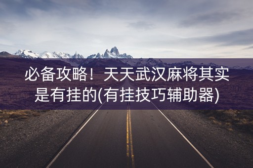 必备攻略！天天武汉麻将其实是有挂的(有挂技巧辅助器)
