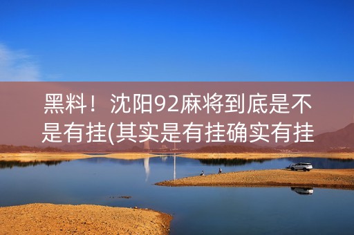 黑料！沈阳92麻将到底是不是有挂(其实是有挂确实有挂)