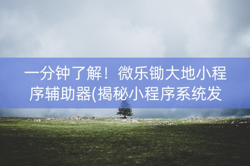 一分钟了解！微乐锄大地小程序辅助器(揭秘小程序系统发好牌)