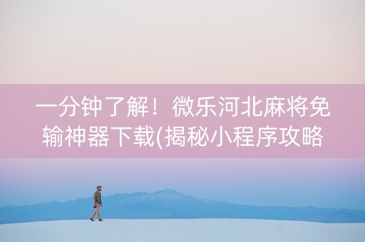 一分钟了解！微乐河北麻将免输神器下载(揭秘小程序攻略插件)