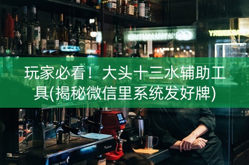 玩家必看！大头十三水辅助工具(揭秘微信里系统发好牌)