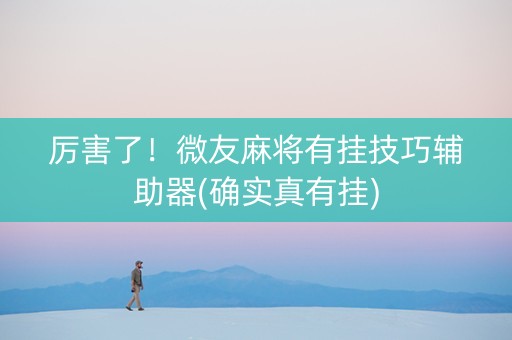 厉害了！微友麻将有挂技巧辅助器(确实真有挂)