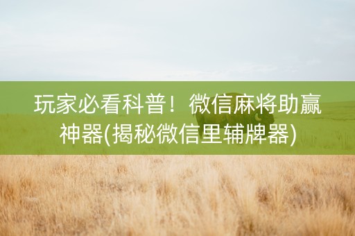 玩家必看科普！微信麻将助赢神器(揭秘微信里辅牌器)