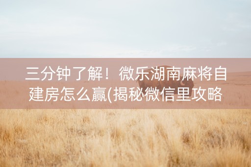 三分钟了解！微乐湖南麻将自建房怎么赢(揭秘微信里攻略插件)