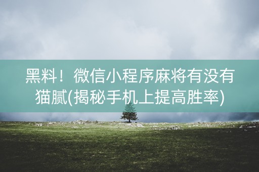 黑料！微信小程序麻将有没有猫腻(揭秘手机上提高胜率)