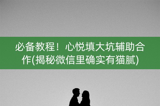 必备教程！心悦填大坑辅助合作(揭秘微信里确实有猫腻)
