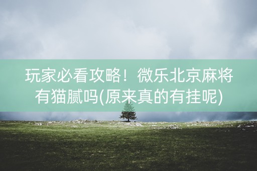 玩家必看攻略！微乐北京麻将有猫腻吗(原来真的有挂呢)