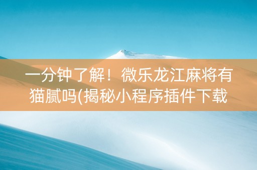 一分钟了解！微乐龙江麻将有猫腻吗(揭秘小程序插件下载)