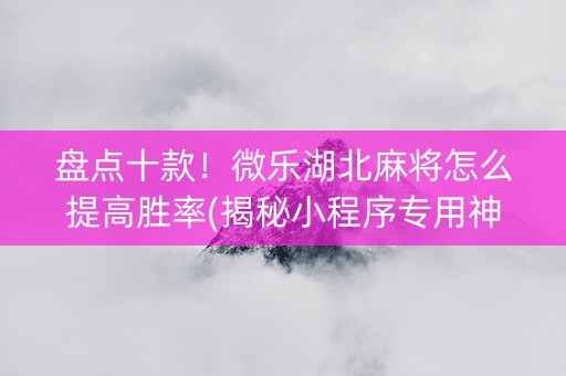 盘点十款！微乐湖北麻将怎么提高胜率(揭秘小程序专用神器下载)