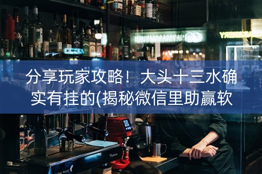 分享玩家攻略！大头十三水确实有挂的(揭秘微信里助赢软件)