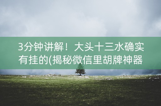 3分钟讲解！大头十三水确实有挂的(揭秘微信里胡牌神器)