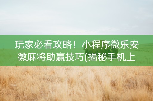 玩家必看攻略！小程序微乐安徽麻将助赢技巧(揭秘手机上输赢规律)