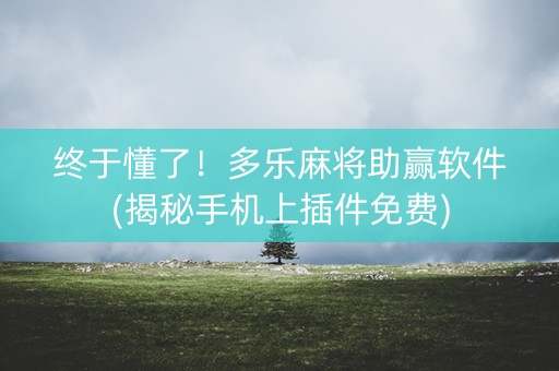 终于懂了！多乐麻将助赢软件(揭秘手机上插件免费)